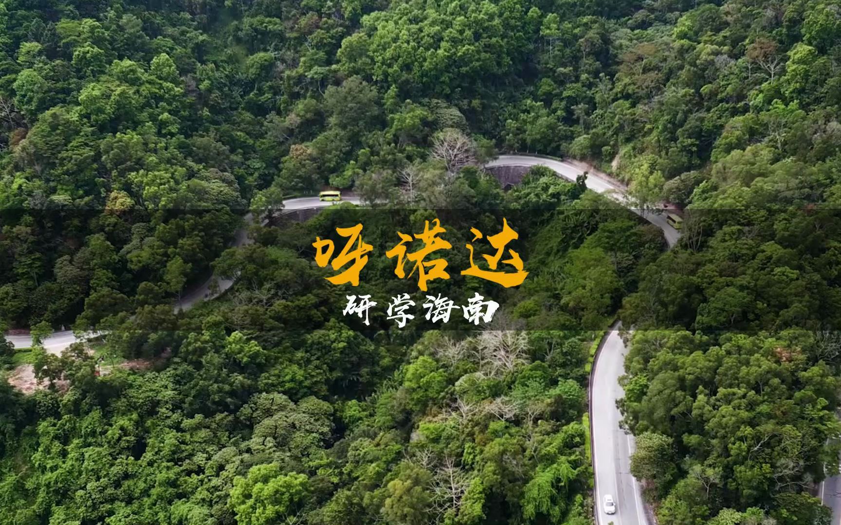 研学海南——海南·保亭·呀诺达，探寻雨林深处的秘密，感受大自然的美好