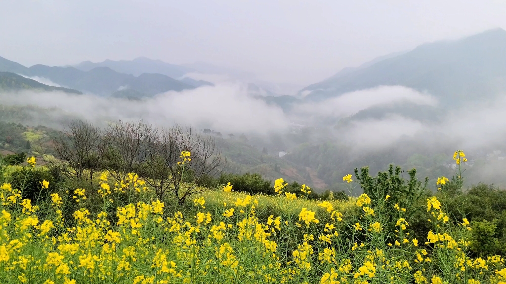 安徽歙县坡山风景区图片