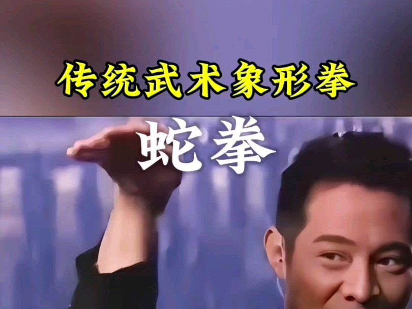 传统武术象形拳之蛇拳哔哩哔哩bilibili