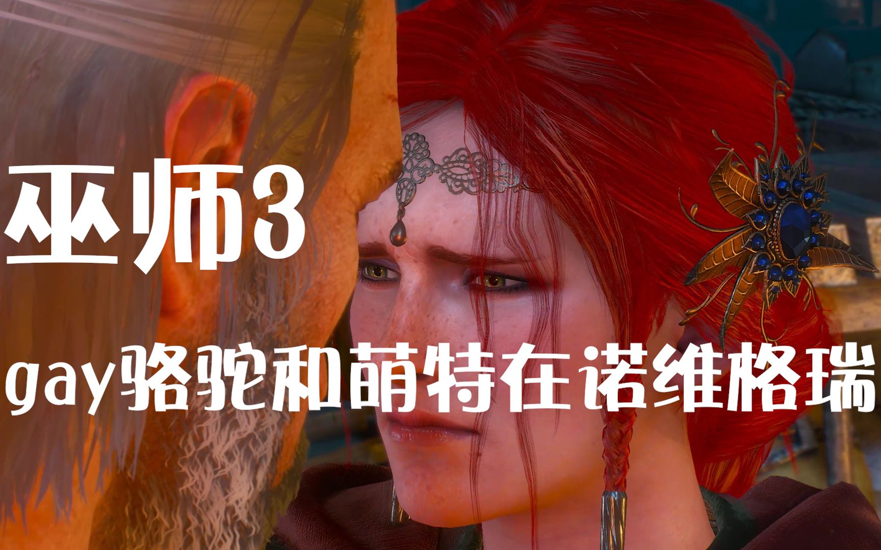 巫师3特莉丝但是恋爱养成