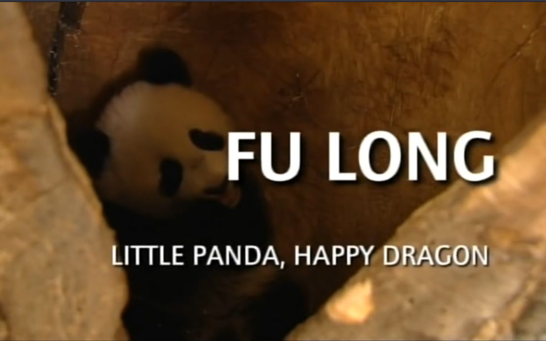 [大熊猫] 福龙  Little Panda Happy Dragon哔哩哔哩bilibili