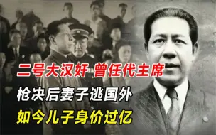 二号大汉奸，曾任代主席，枪决后妻子逃国外，今儿子身价过亿