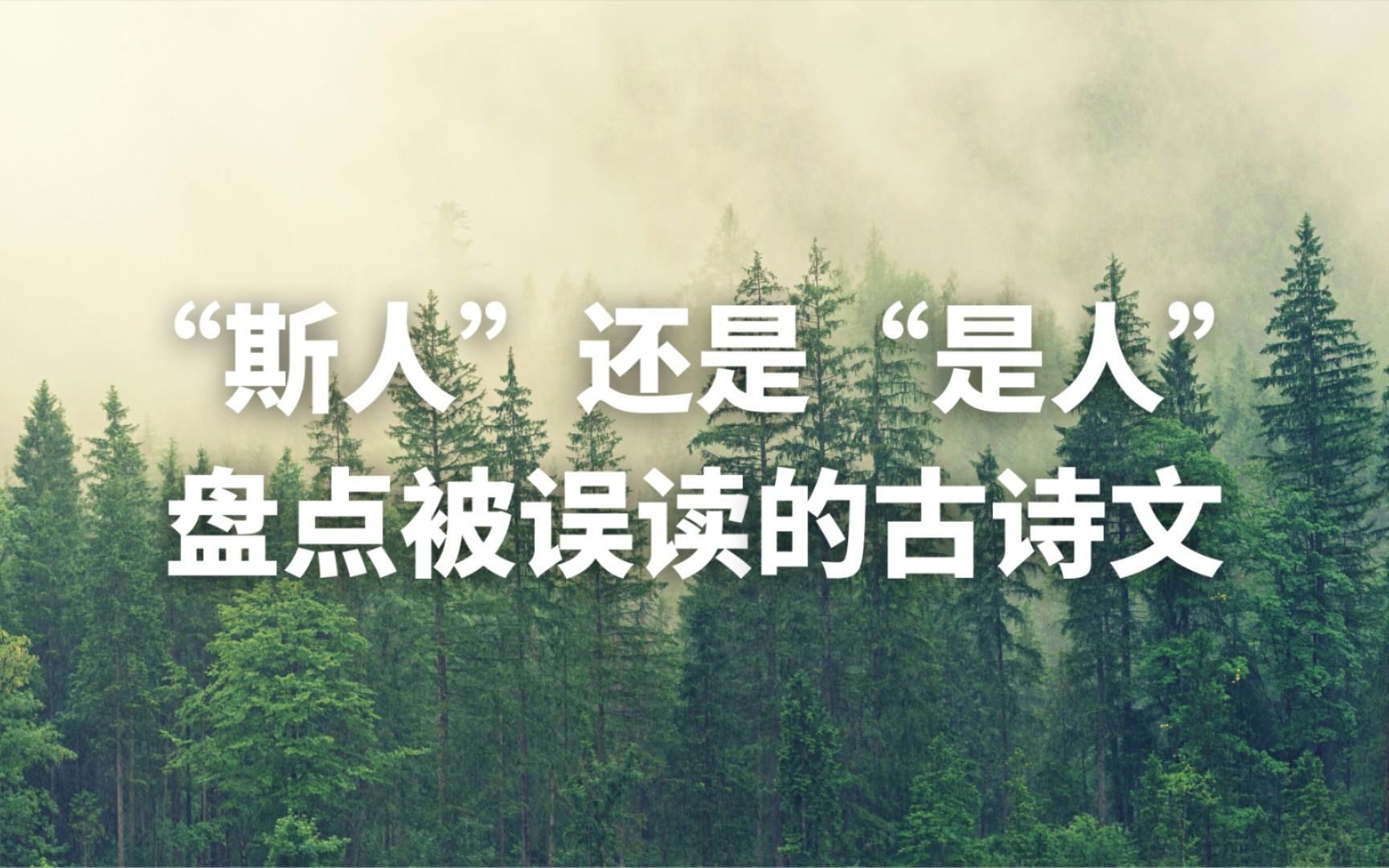 故天降大任于“斯人”还是“是人” ?盘点那些我们读错的古诗词哔哩哔哩bilibili