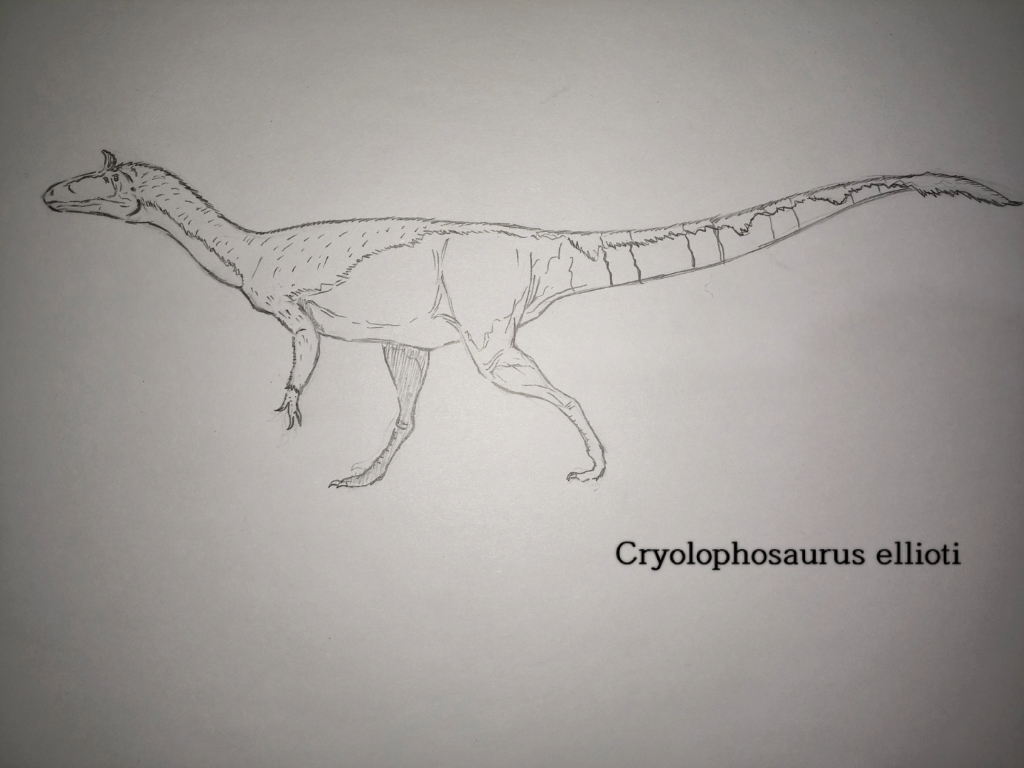 早侏罗世体型最大的兽脚类恐龙之一 艾略特 冰嵴龙
