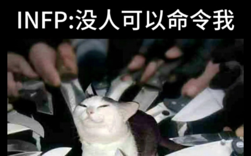 [图]INFP:你在教我做事？