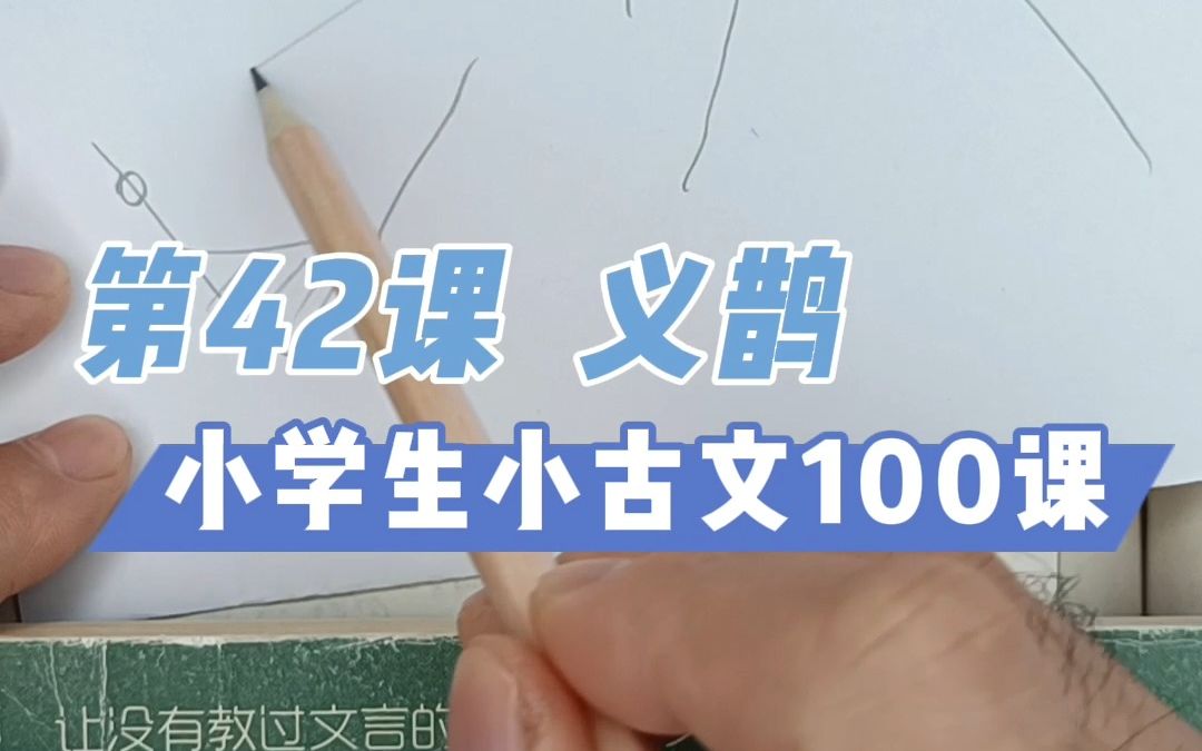 第42课《义鹊》山之阳是山的南面,水之阳是水的北边哔哩哔哩bilibili