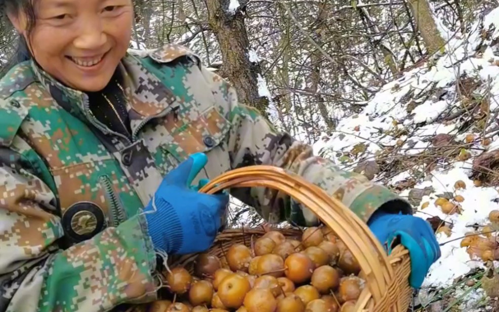 秦岭大山里,独有的,冬天的秘密哔哩哔哩bilibili