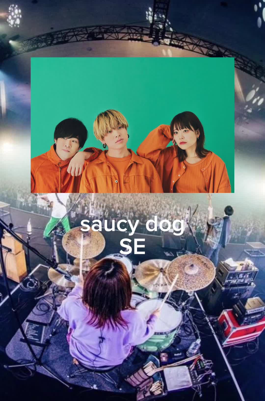 #saucydog #se #歌曲介绍 #推荐 #推荐歌曲 #pr #playlist