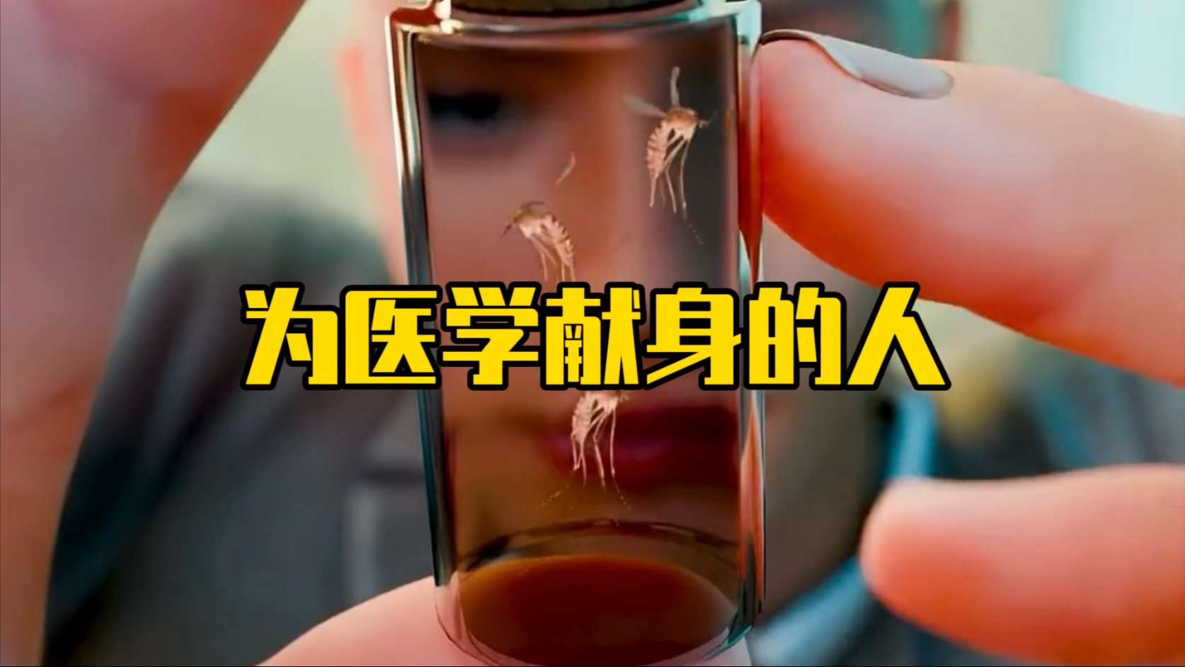 他为医学献出了自己的生命
