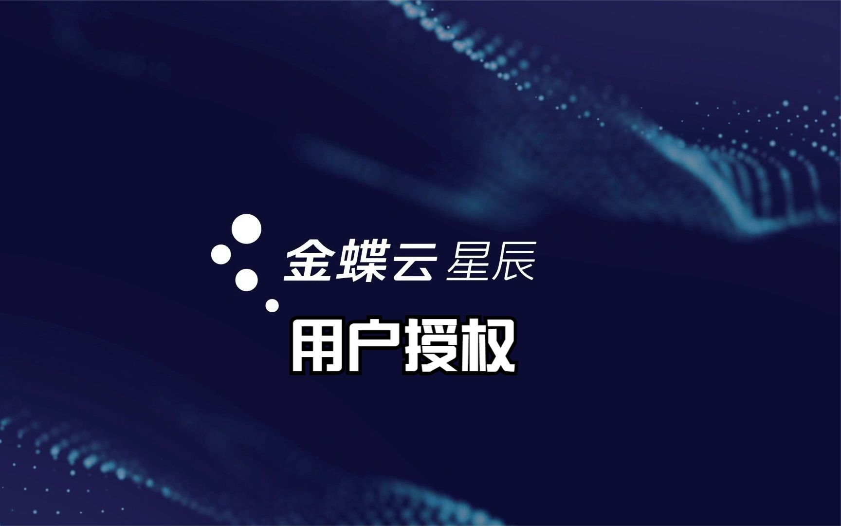 金蝶云星辰 用户权限设置,用户授权管理_哔哩哔哩_bilibili