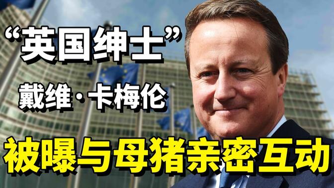 英国首相卡梅伦和猪图片