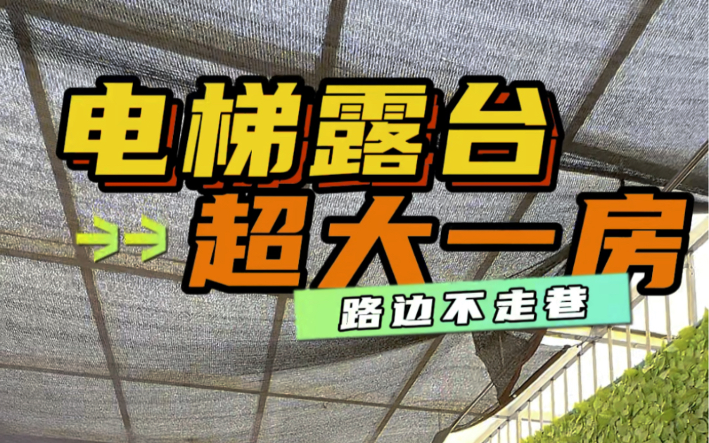 大石租房,天台花园一房一厅,大石天台房,天台一房一厅,露台房,大石电梯露台一房一厅,大石精装露台一房一厅,电梯精装修超大阳台一房一厅,独用...