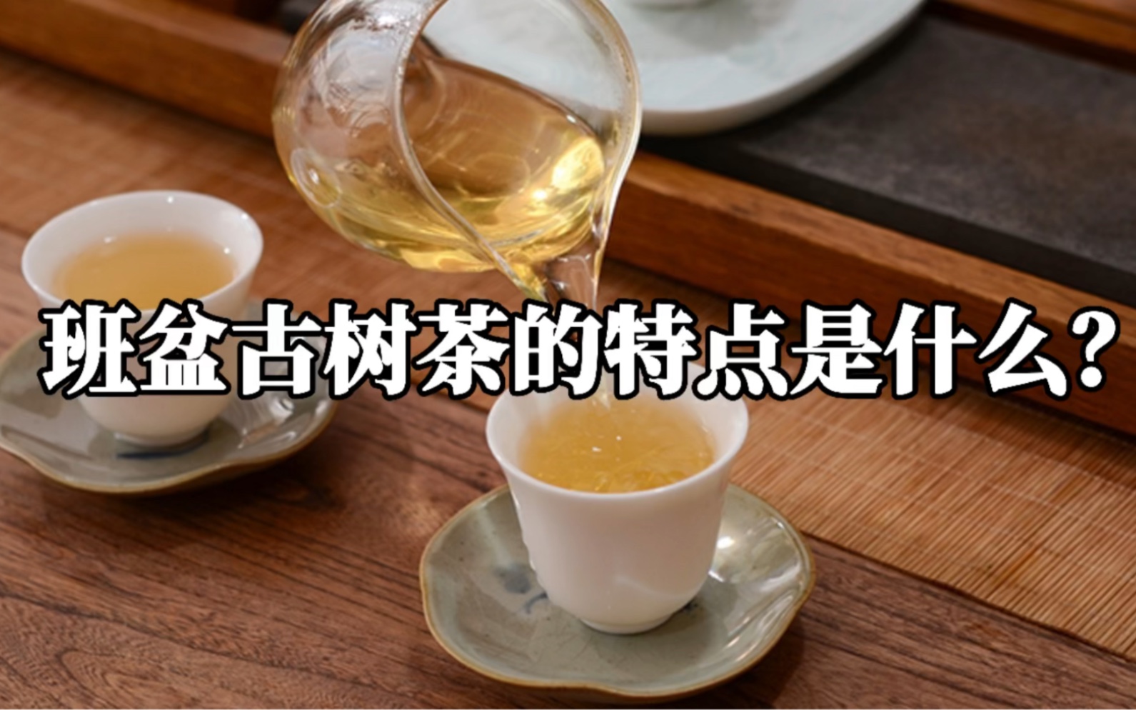 「第124期」班盆古树茶特点是什么?有着“班章味”的班盆口感究竟怎么样?哔哩哔哩bilibili