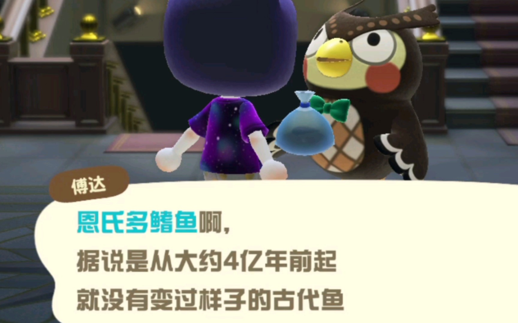 【动森】恩氏多鳍鱼!