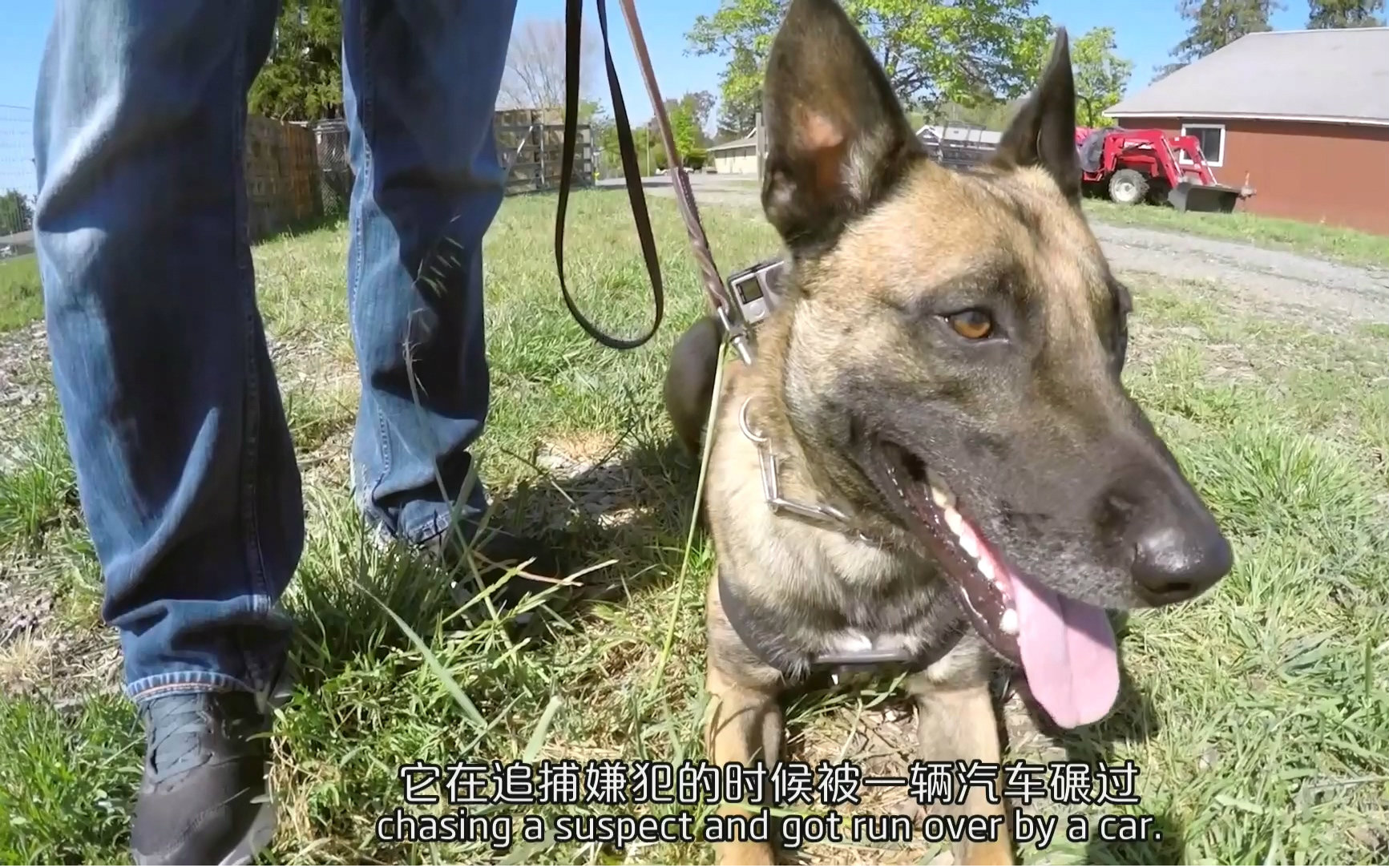 【日京三】微电影:警犬之父(双语字幕)