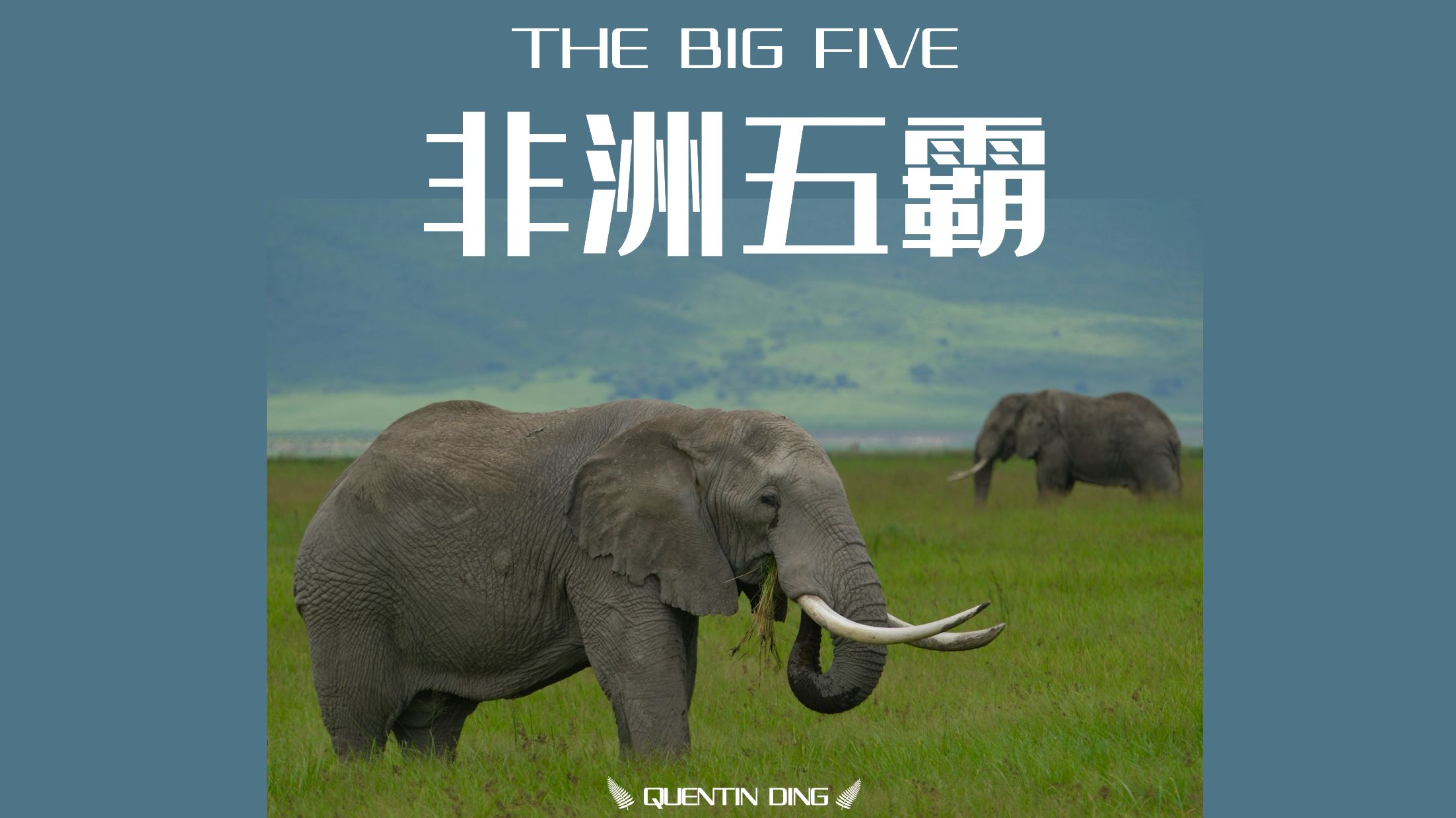 坦桑尼亚(3/4) | 非洲五霸 | 恩戈罗火山口 | 恩杜图帐篷酒店 | 东非