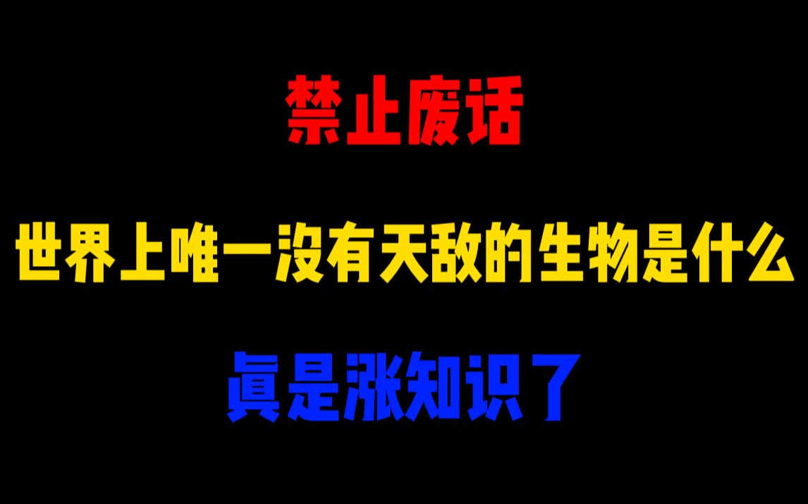 禁止废话:世界上唯一没有天敌的生物是什么?涨知识了哔哩哔哩bilibili