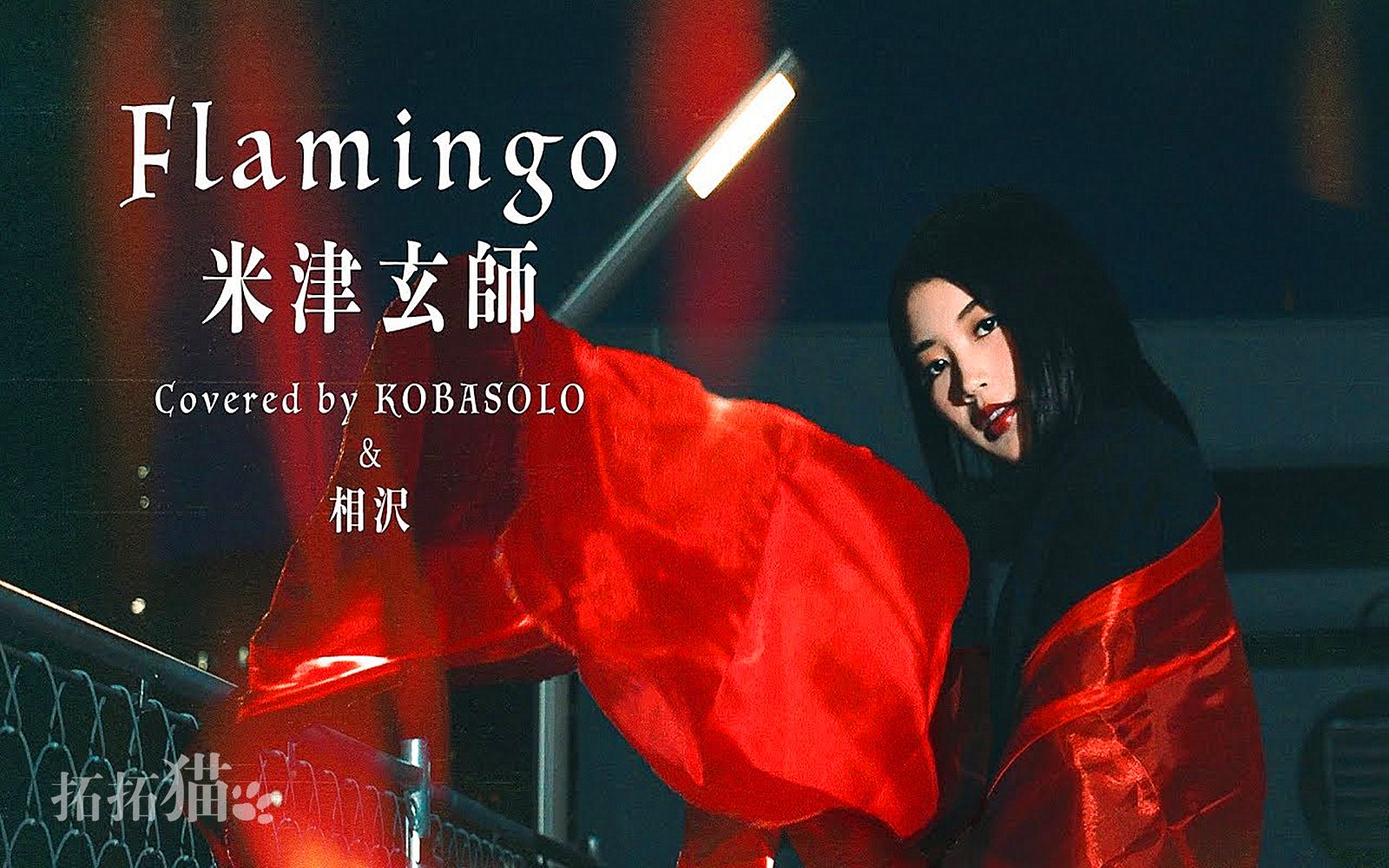 【Kobasolo】Flamingo / 相沢(中日字幕)哔哩哔哩bilibili