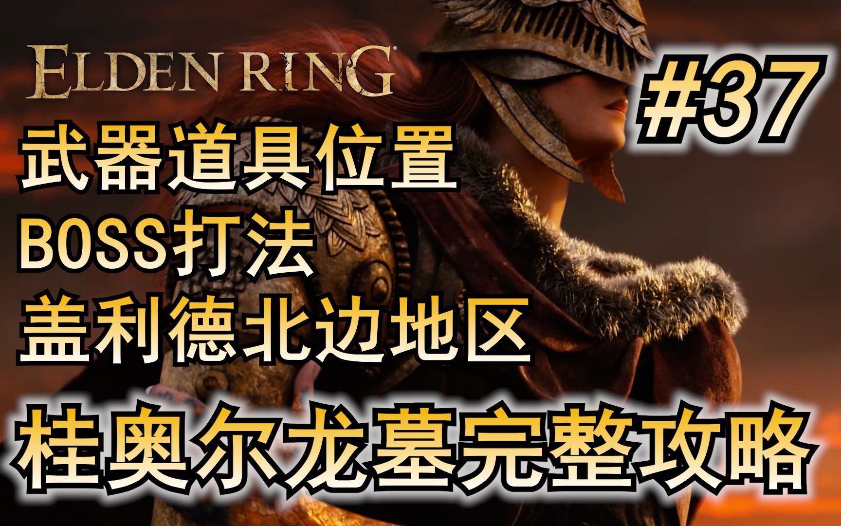 37. 艾尔登法环 主线流程攻略 桂奥尔龙墓 盖利德北部 完整攻略 Boss打法 开荒流程 必拿武器 道具 防具 锻造石单机游戏热门视频