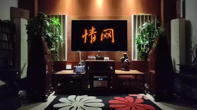 张玮伽演唱《情网》.哔哩哔哩bilibili