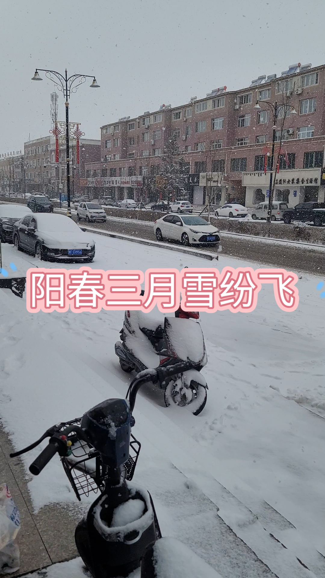 [图]阳春三月大雪纷飞，小城一片白色！