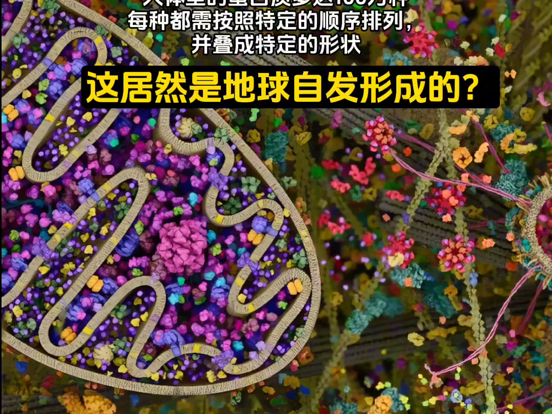 人体细胞的复杂远超科学家想象!超级显微镜下看细胞结构太惊人了哔哩哔哩bilibili