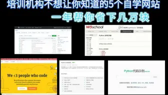 Python自学 五年开发经验大佬 分享python自学秘籍 初学者上分神器 哔哩哔哩 Bilibili