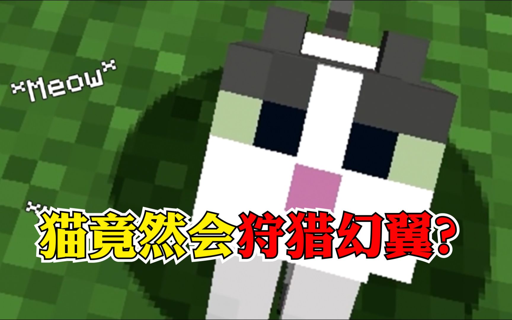 我的世界盘点几个关于猫的冷知识猫竟然会狩猎幻翼
