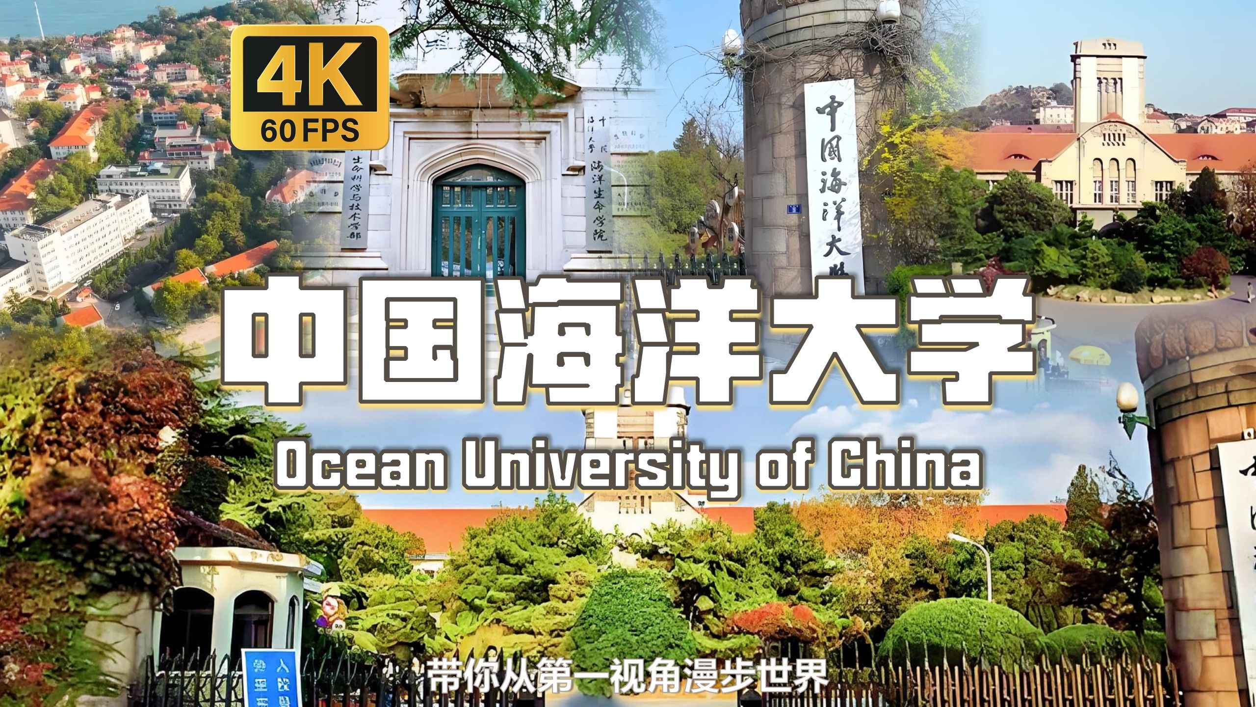 沉浸式漫步在985工程 双一流海洋和水产学科特色显著的大学 附参观信息全攻略 | 【4K60帧】【青岛中国海洋大学鱼山校区】高考季 白噪音 POV 云参观大学...