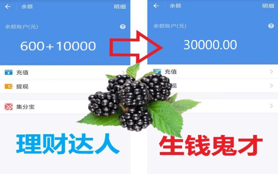 【德云秀】黑莓原本支付宝余额600,工资发了10000,结果余额变30000,这个?哔哩哔哩bilibili