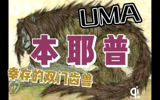 Uma 搜索结果 哔哩哔哩 Bilibili