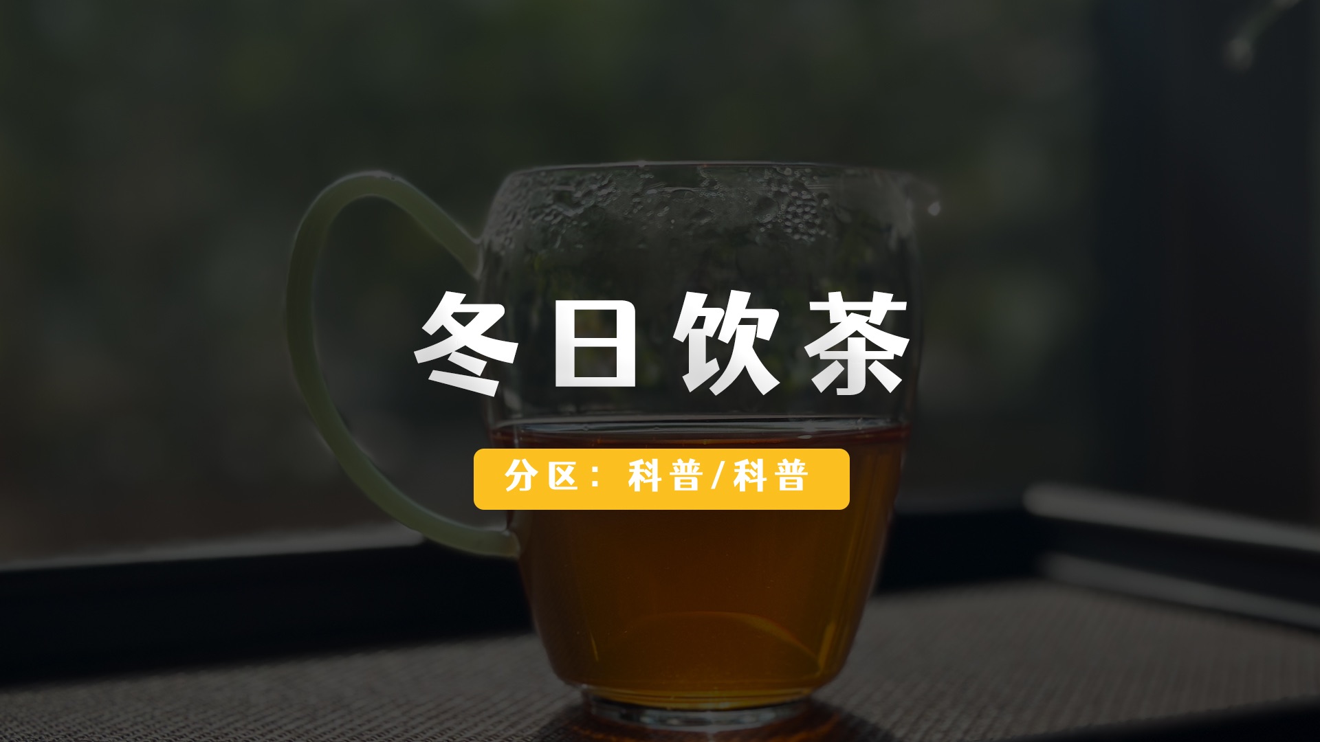 冬天适合喝什么茶呢?冬日饮茶指南哔哩哔哩bilibili