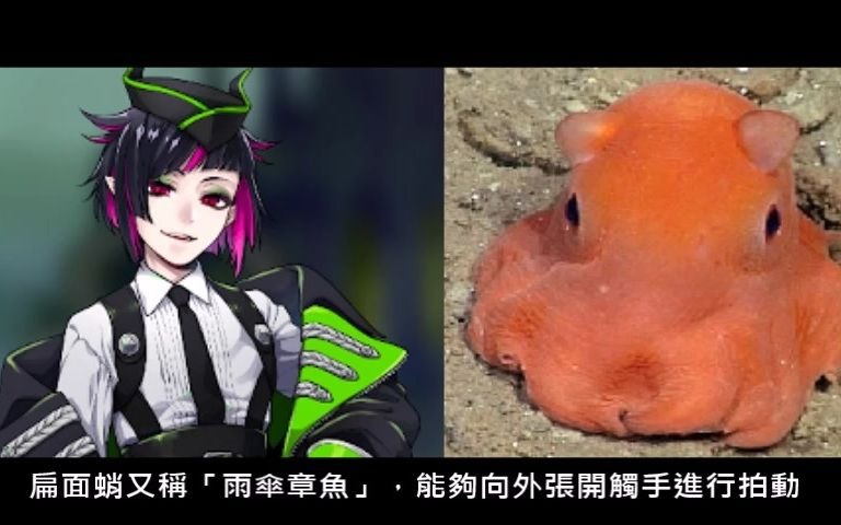 [图]【迪士尼扭曲仙境】各角色的海洋綽號(By Floyd Leech)--Part 2 (更新版)