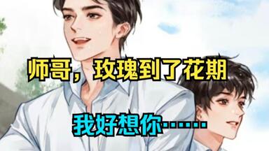 碎玉投珠（上下） 北南 台湾版 广播剧《碎玉投珠》第一季· 第一集_哔哩哔哩_bilibili