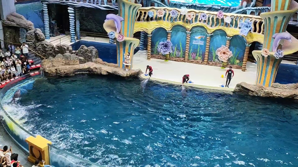 郑州海洋馆4表演