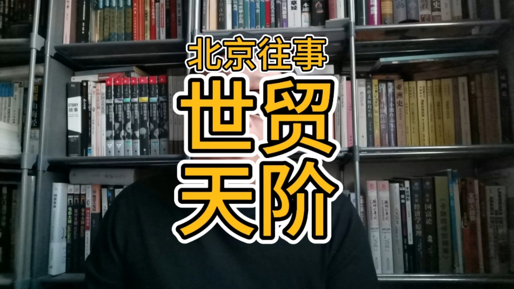 北京往事之世贸天阶(2011年8月初在北京上班的弟弟带我去了世贸天阶)哔哩哔哩bilibili