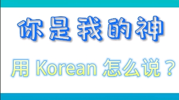 【网语流畅说朝鲜语系列】第12期:“你是我的神”用朝鲜语怎么说?哔哩哔哩bilibili