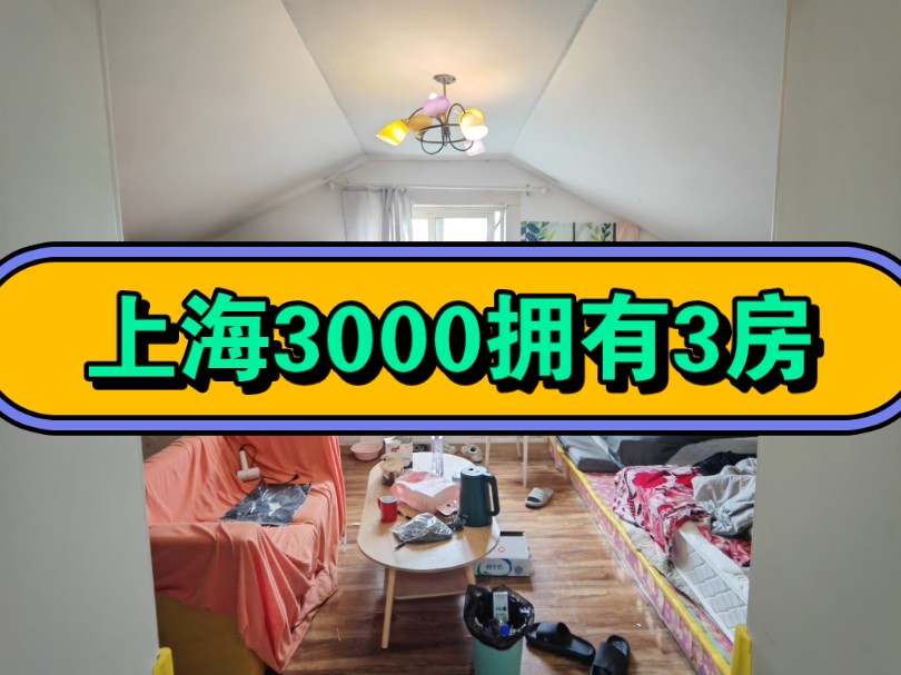 魔都上海3000就能拥有3房哔哩哔哩bilibili