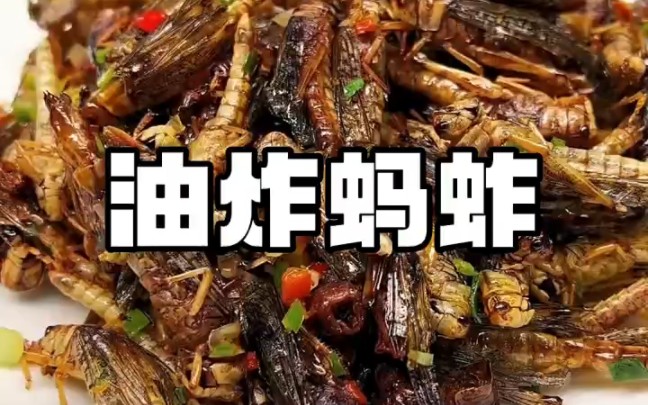 油炸蚂蚱 味道挺不错的 ＂油炸蝗虫 ＂油炸蚂蚱 ＂老一辈下酒菜哔哩哔哩bilibili