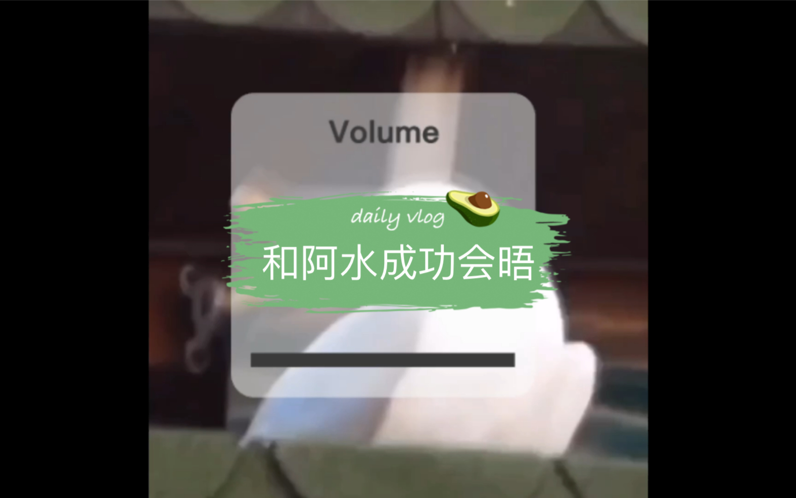 端午端午哔哩哔哩bilibili