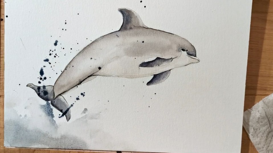 【自学收藏】写意水彩动物教程-海豚 watercolor