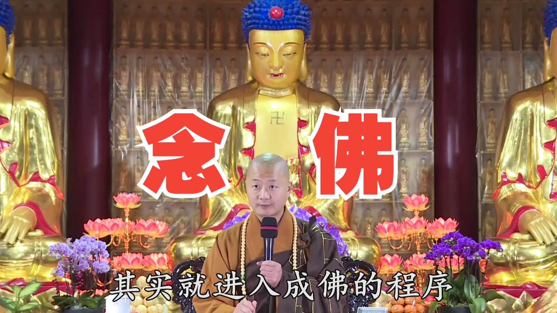 念佛,往生即进入了成佛的程序 - 仁山法师
