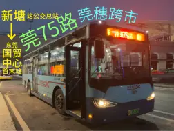 Download Video: 莞穗跨市「广角4K60」东莞75路 新塘站公交总站—东莞国贸中心首末站 前方展望[pov-134］