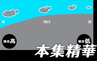 汽水域 搜索结果 哔哩哔哩弹幕视频网 つロ乾杯 Bilibili