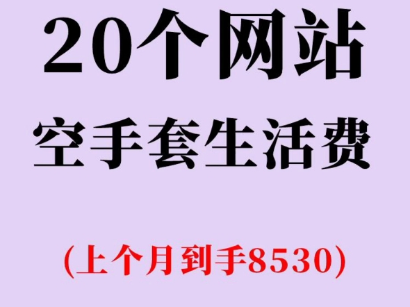 20个奇奇怪怪的网站,收入往上涨!哔哩哔哩bilibili