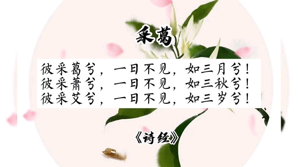 [图]【好好学习，天天向上】《诗经•采葛》时时刻刻两心相系相伴，一会儿不见，则焦躁如隔岁月。BGM《天涯客》