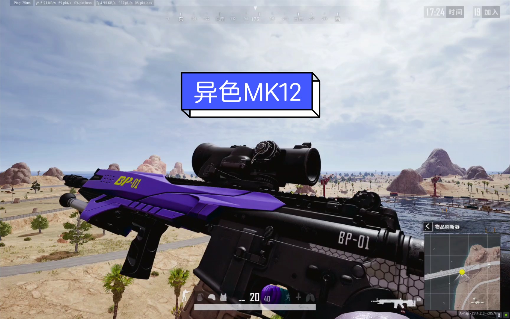 【pubg】小兔異色mk12