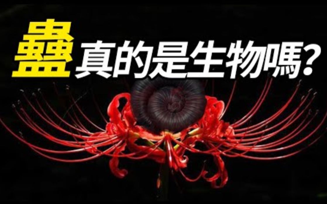 [图]2011年苗疆蛊毒伤人事件！入侵人体还不留下证据，神秘的蛊究竟是什么生物？