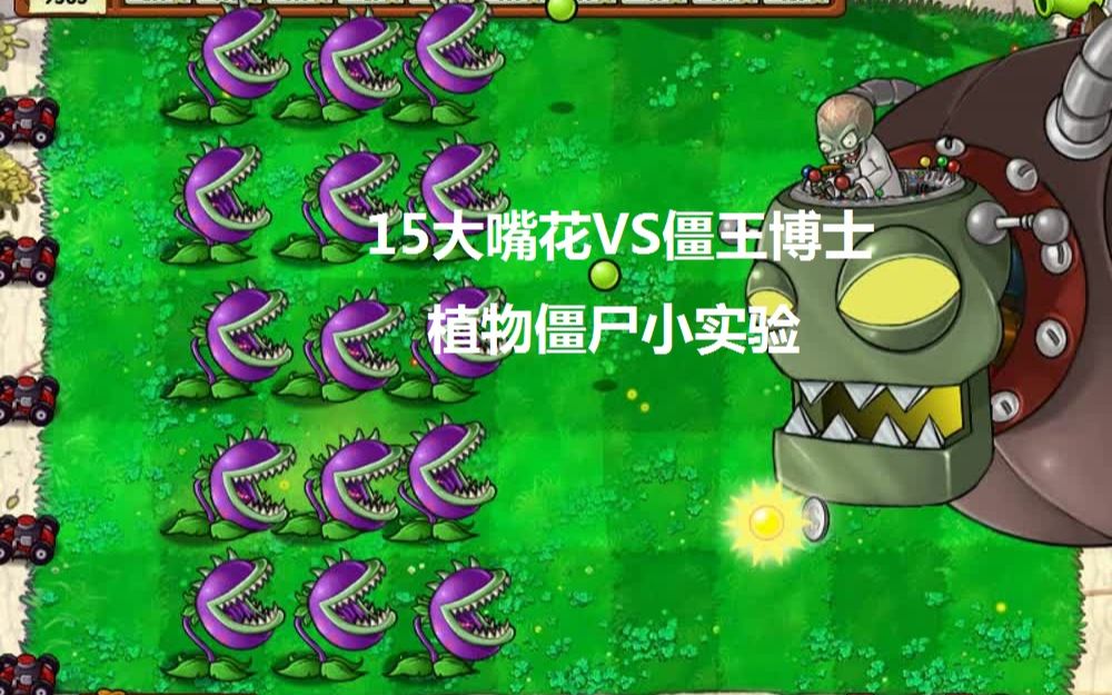 【植物僵尸小实验】15大嘴花要花多长时间吃掉僵王