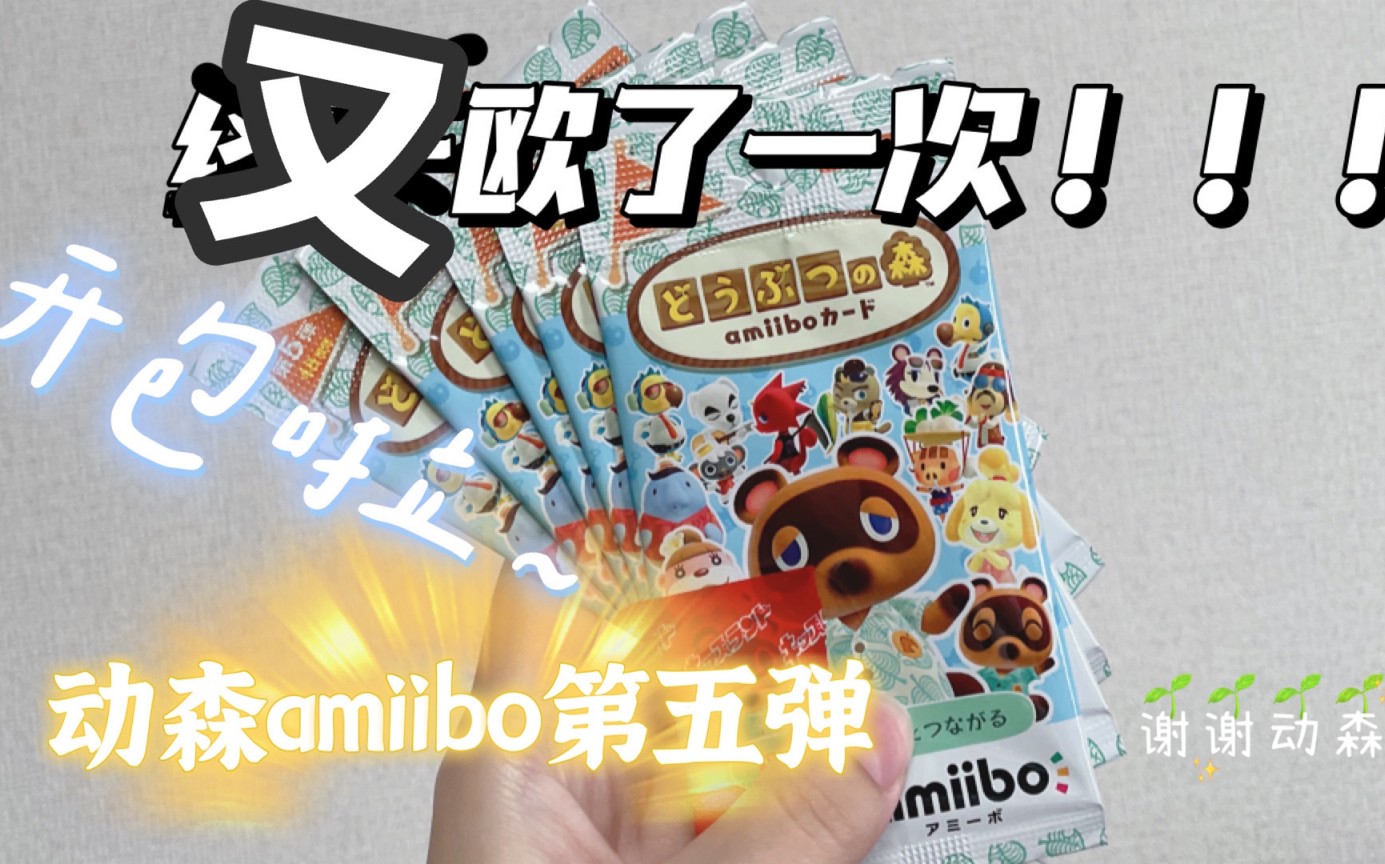 還是動森amiibo第五彈還是本歐皇也沒有那麼歐啦